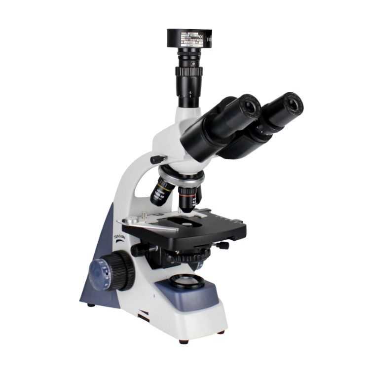 XSP500型系列生物显微镜